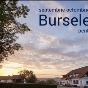 burse jti stagiu national 2023